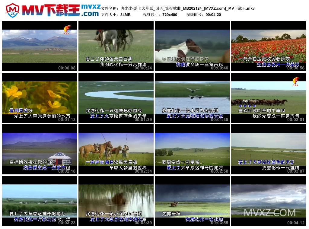 唐冰冰-爱上大草原_国语_流行歌曲_MB202124